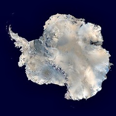 Antartide